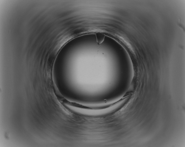 X0000096441281200801311421