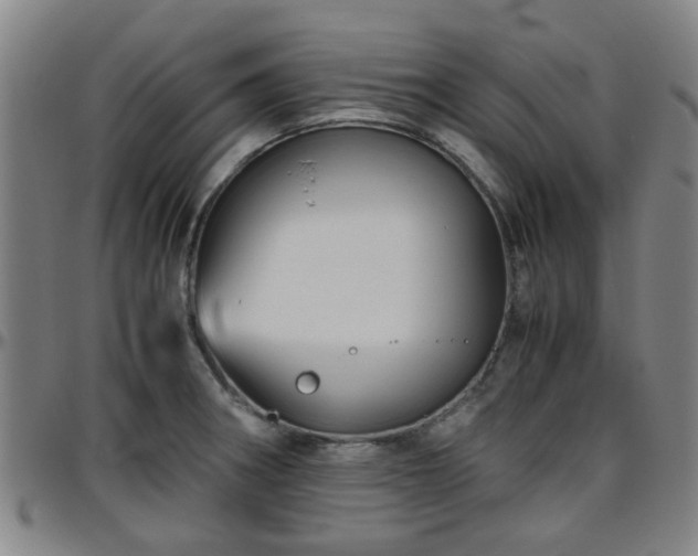 X0000096441282200801311421