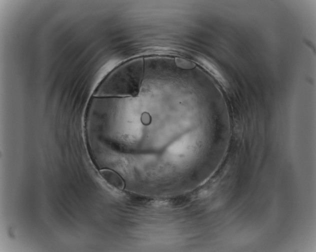 X0000096441283200801311421