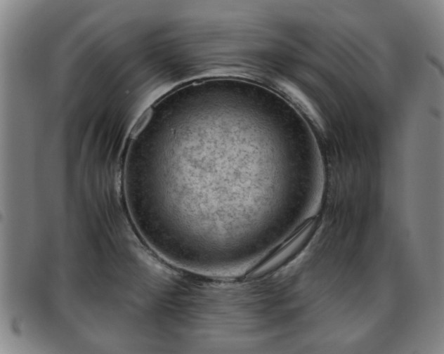 X0000096441284200801311421
