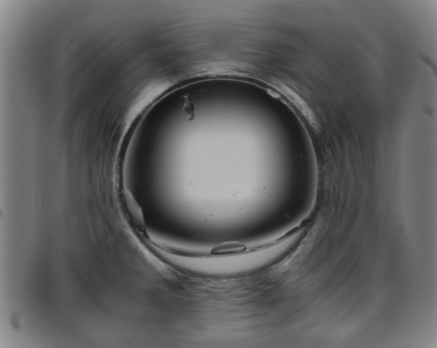 X0000096441285200801311421