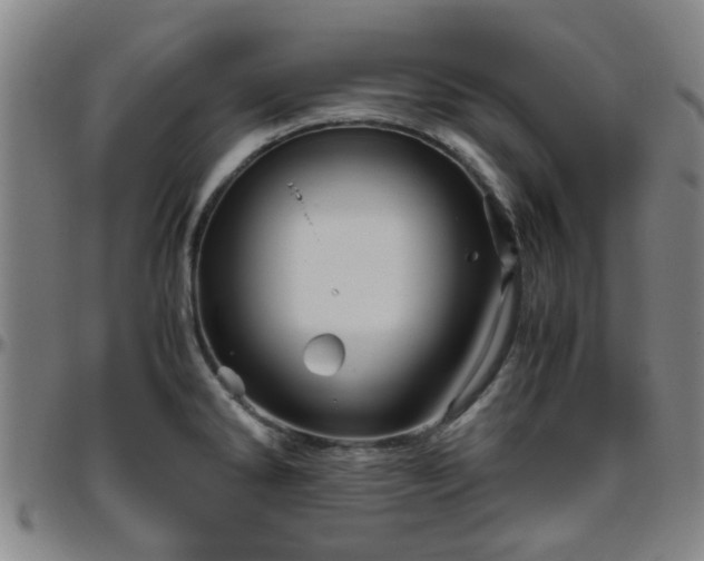 X0000096441286200801311421