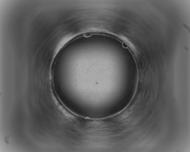 X0000096441287200801311421