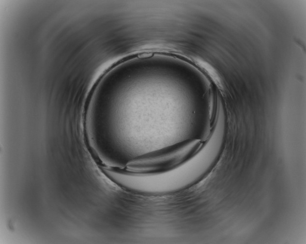X0000096441288200801311421