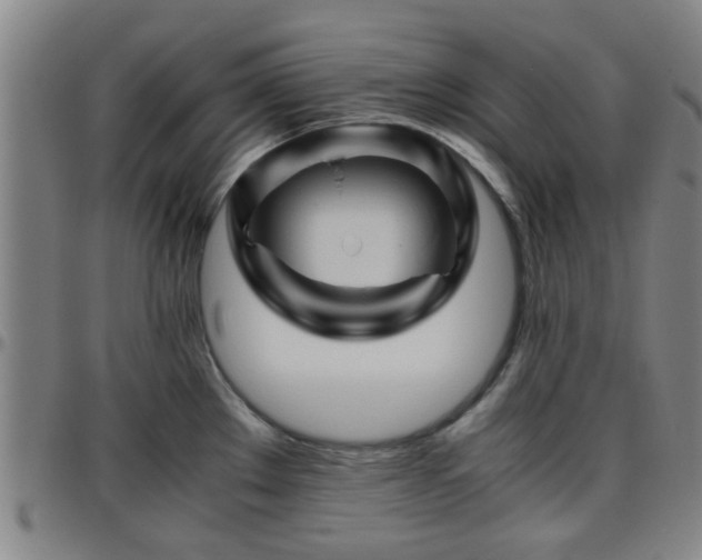 X0000096441289200801311421