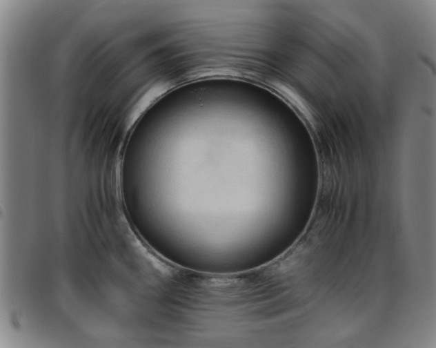 X0000096441290200801311421