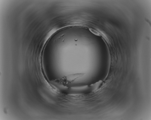 X0000096441291200801311421