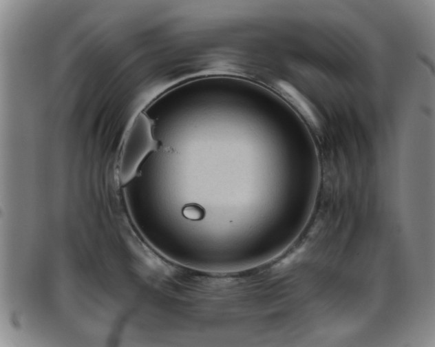 X0000096441292200801311421