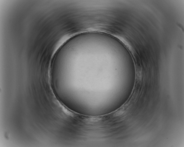 X0000096441294200801311421