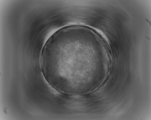 X0000096441295200801311421
