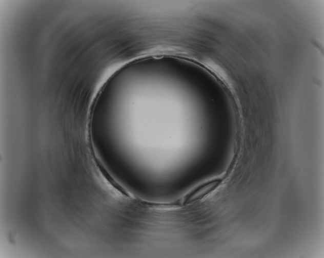 X0000096441296200801311421