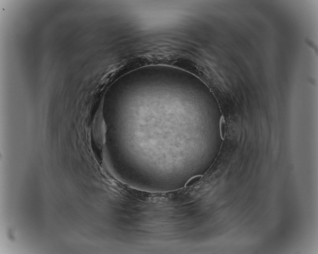 X0000096441297200801311420
