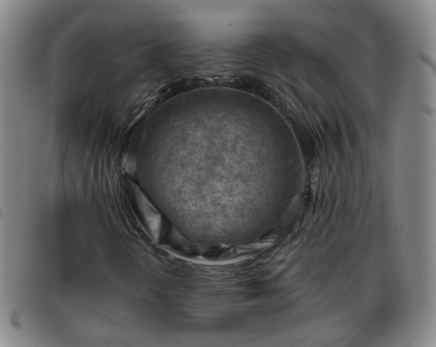 X0000096441298200801311420