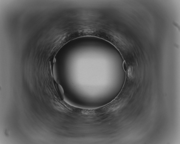 X0000096441299200801311420