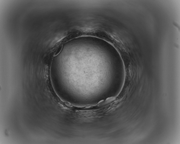 X0000096441301200801311420