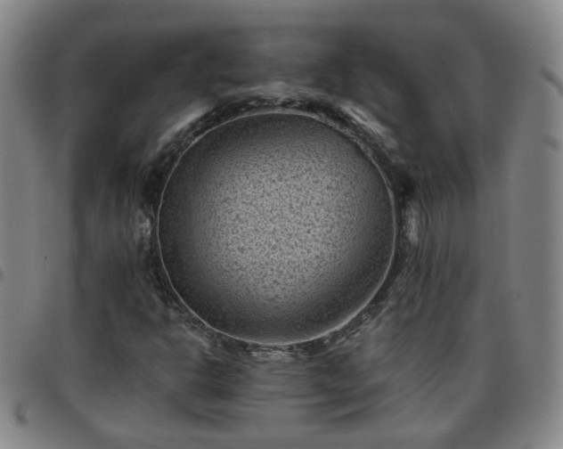 X0000096441302200801311420