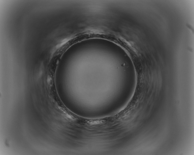 X0000096441303200801311420