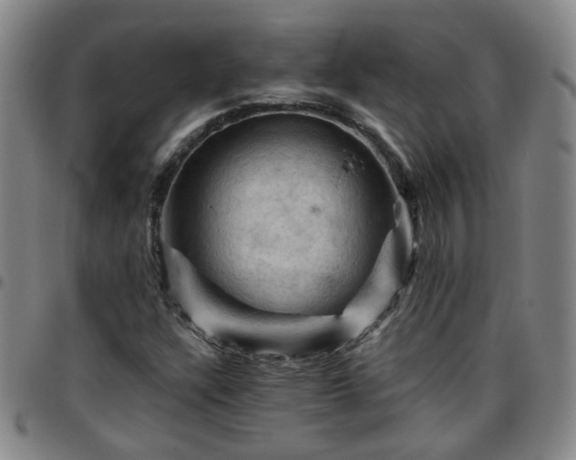 X0000096441304200801311420