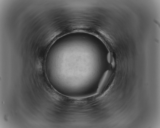 X0000096441305200801311420