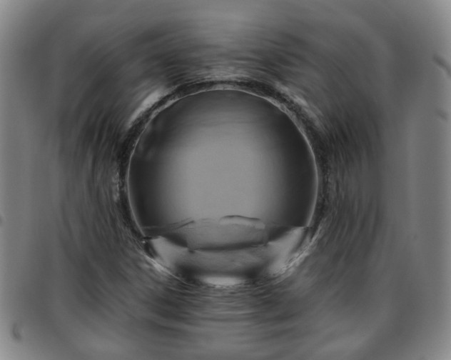 X0000096441306200801311420