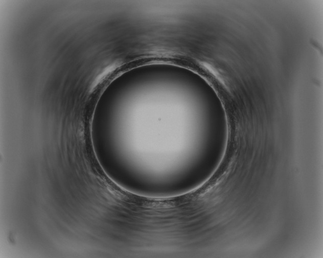 X0000096441307200801311420