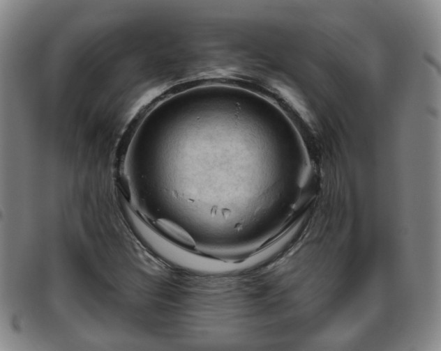 X0000096441308200801311420