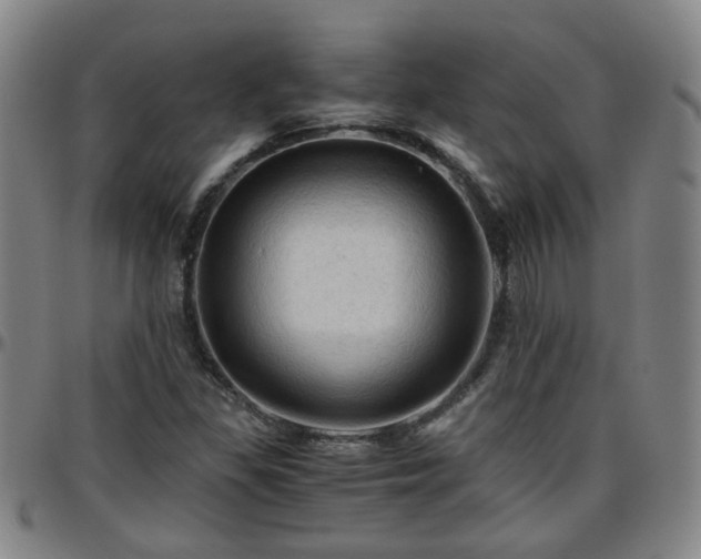 X0000096441309200801311420