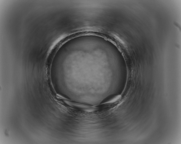 X0000096441310200801311420