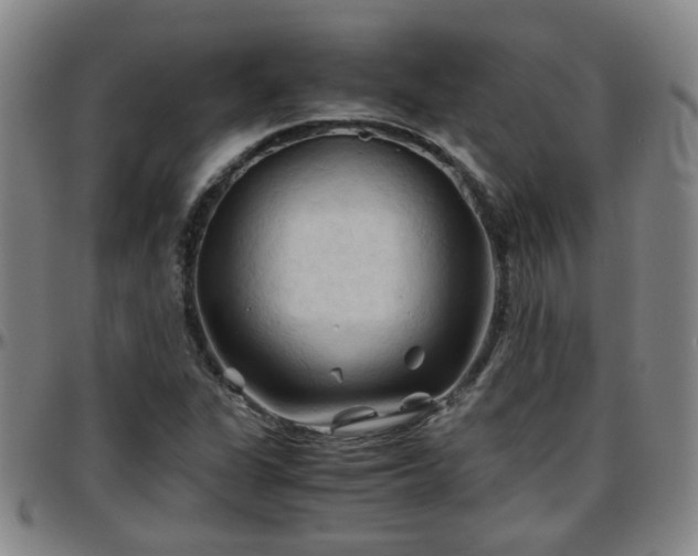 X0000096441311200801311420