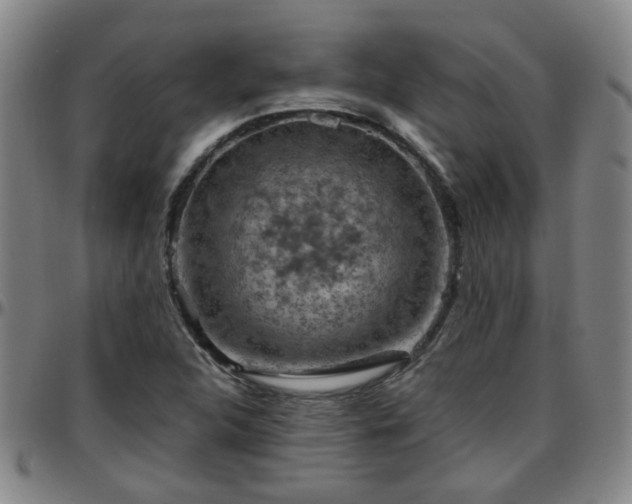 X0000096441312200801311420