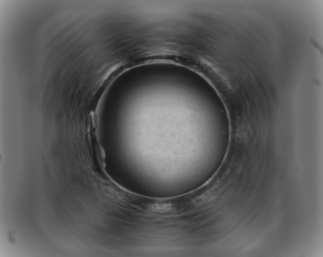X0000096441313200801311420