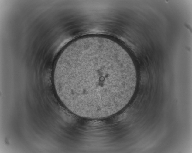 X0000096441314200801311420