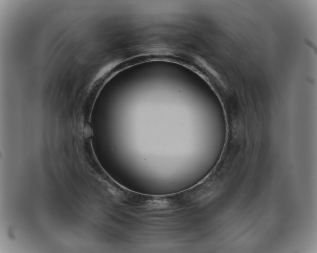 X0000096441315200801311420