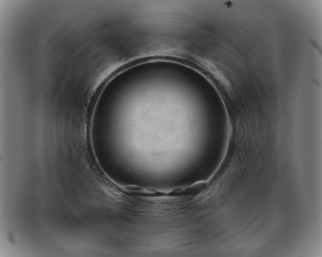X0000096441316200801311420