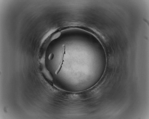 X0000096441317200801311420