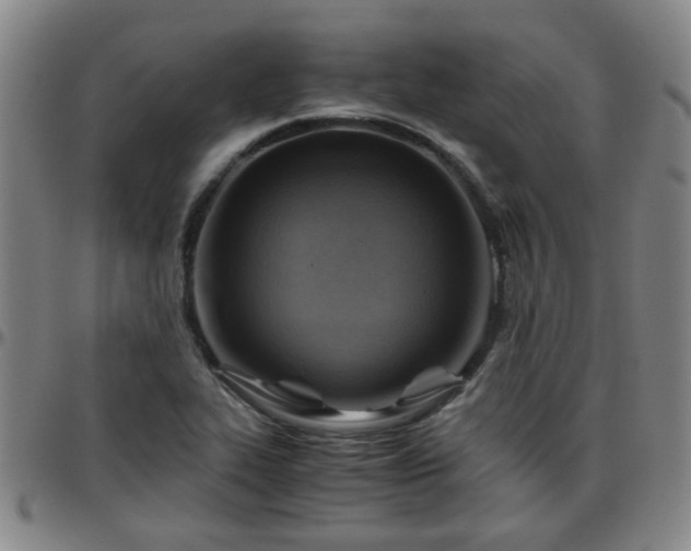 X0000096441319200801311420