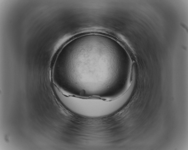 X0000096441320200801311420