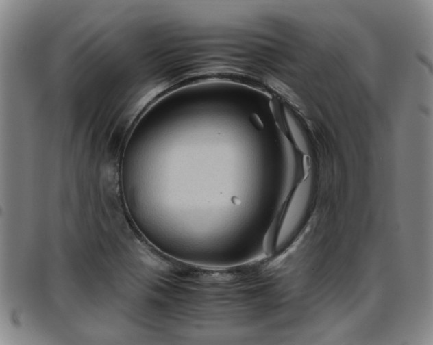 X0000096441321200801311420