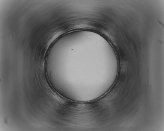 X0000096441322200801311420