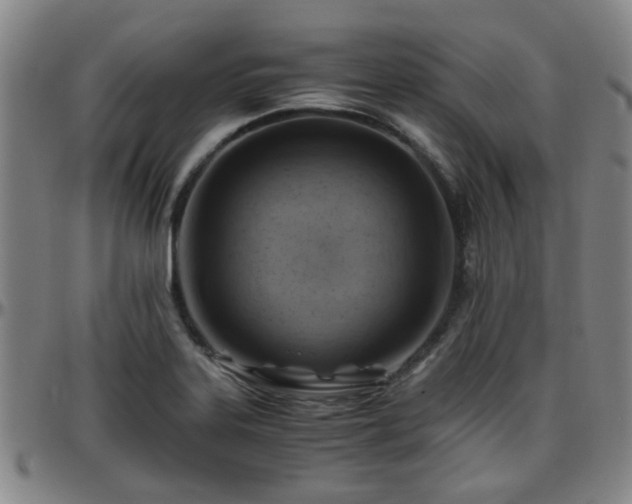 X0000096441323200801311420