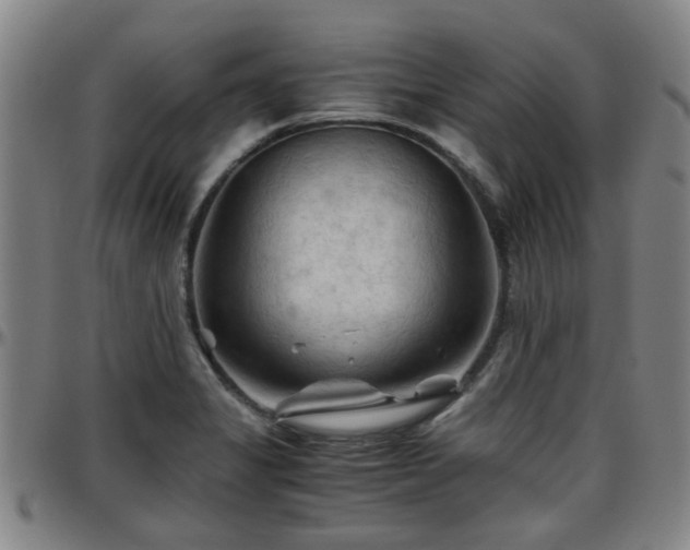 X0000096441325200801311420