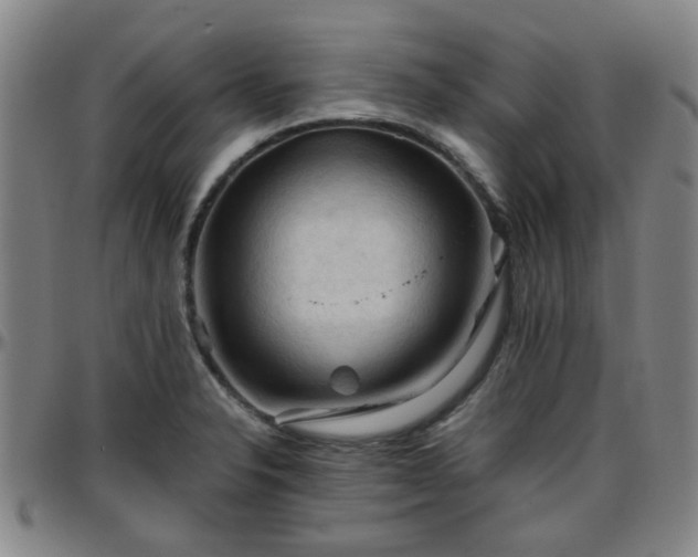 X0000096441326200801311420