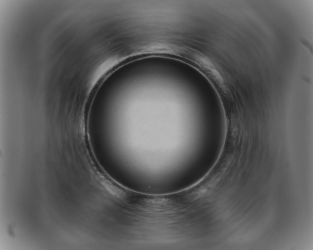 X0000096441328200801311420