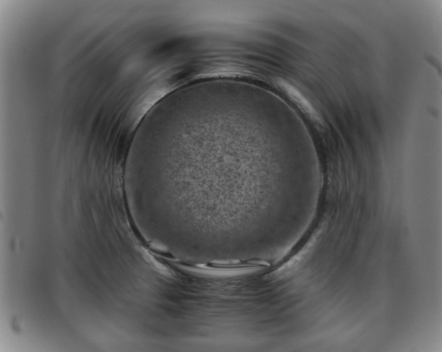 X0000096441329200801311420