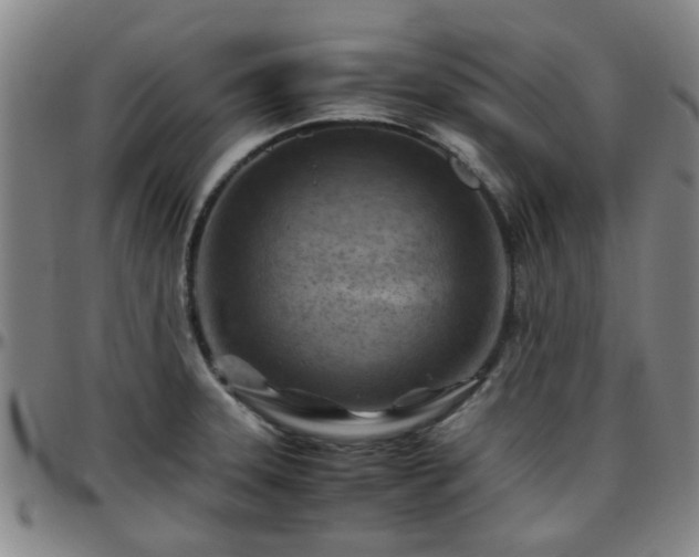 X0000096441331200801311420