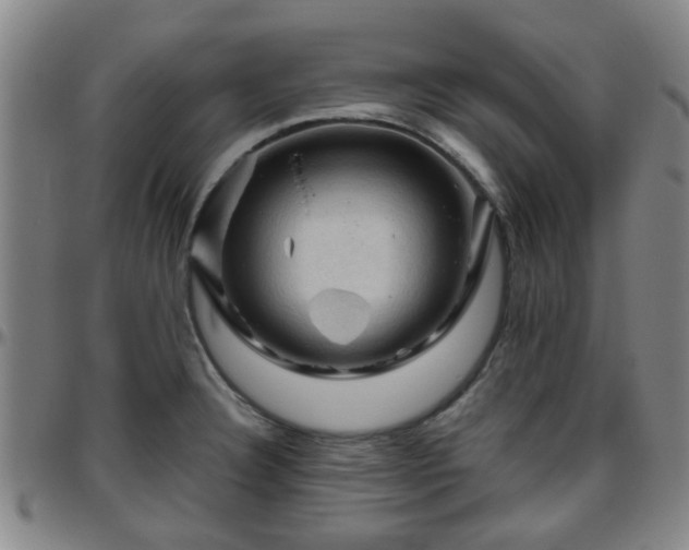 X0000096441332200801311420