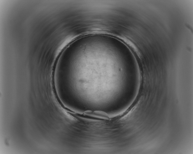X0000096441333200801311420