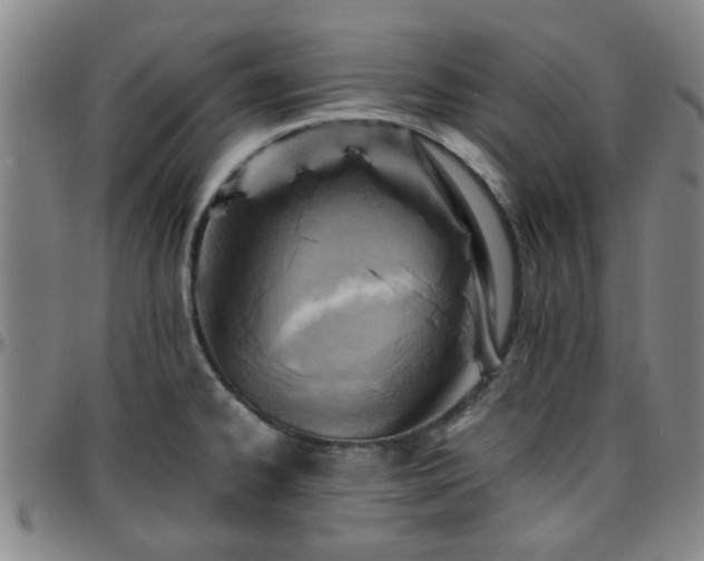 X0000096441334200801311420