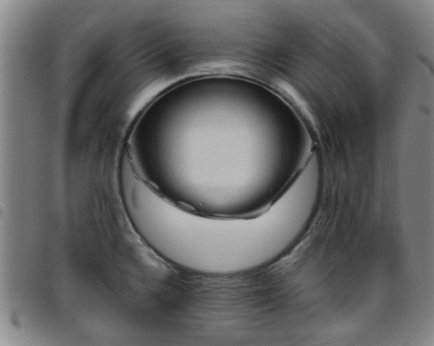 X0000096441336200801311420