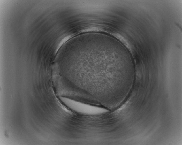 X0000096441337200801311420